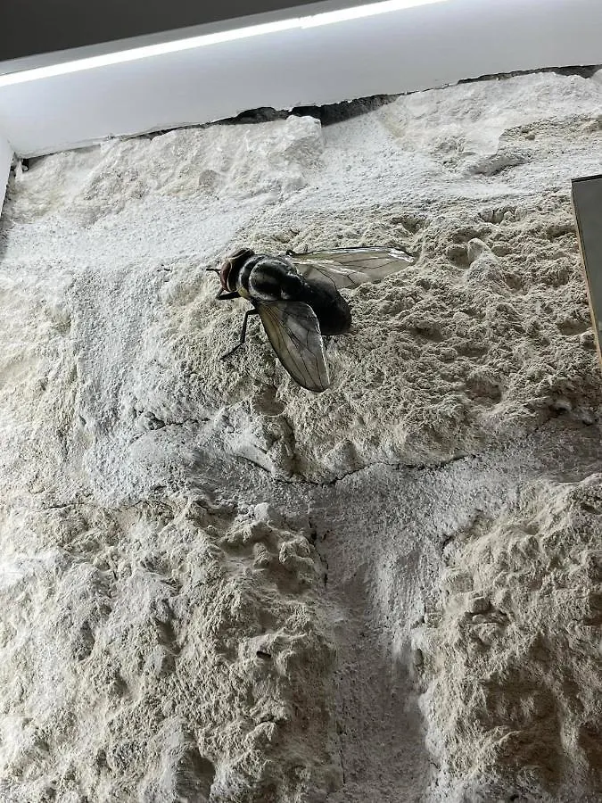 I Bastioni Apartment Palermo